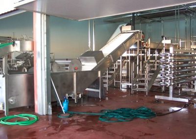 Proyecto básico para la Autorización Ambiental Integrada de la planta de industrialización de fresón de HUDISA en Lepe